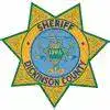 Loyal sheriff badge emblem with green and yellow accents from Grey Group LLC security.
